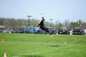 Introduction to Agility Classes @ Bellwether Harbor | Fremont | Michigan | United States