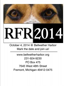 Introduction to Agility Classes @ Bellwether Harbor | Fremont | Michigan | United States