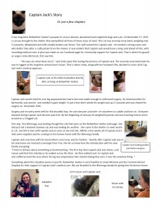 Introduction to Agility Classes @ Bellwether Harbor | Fremont | Michigan | United States