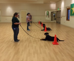 Bellwether Harbor Pet Dog Training and Manners Class @ Bellwether Harbor | Fremont | Michigan | United States