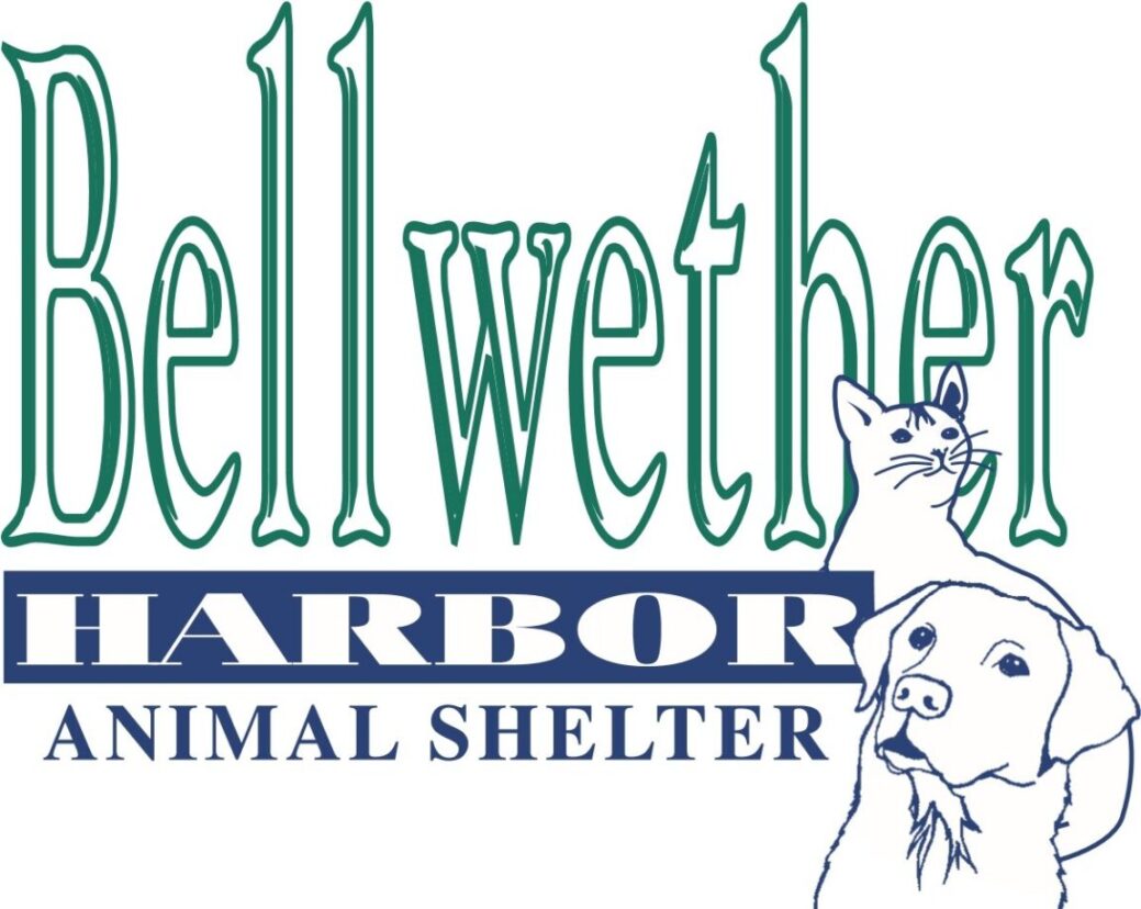 Bellwether Harbor