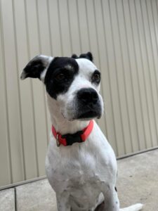 Keisha
