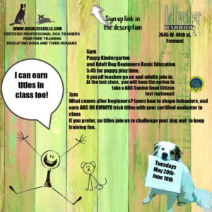 Additional Classes