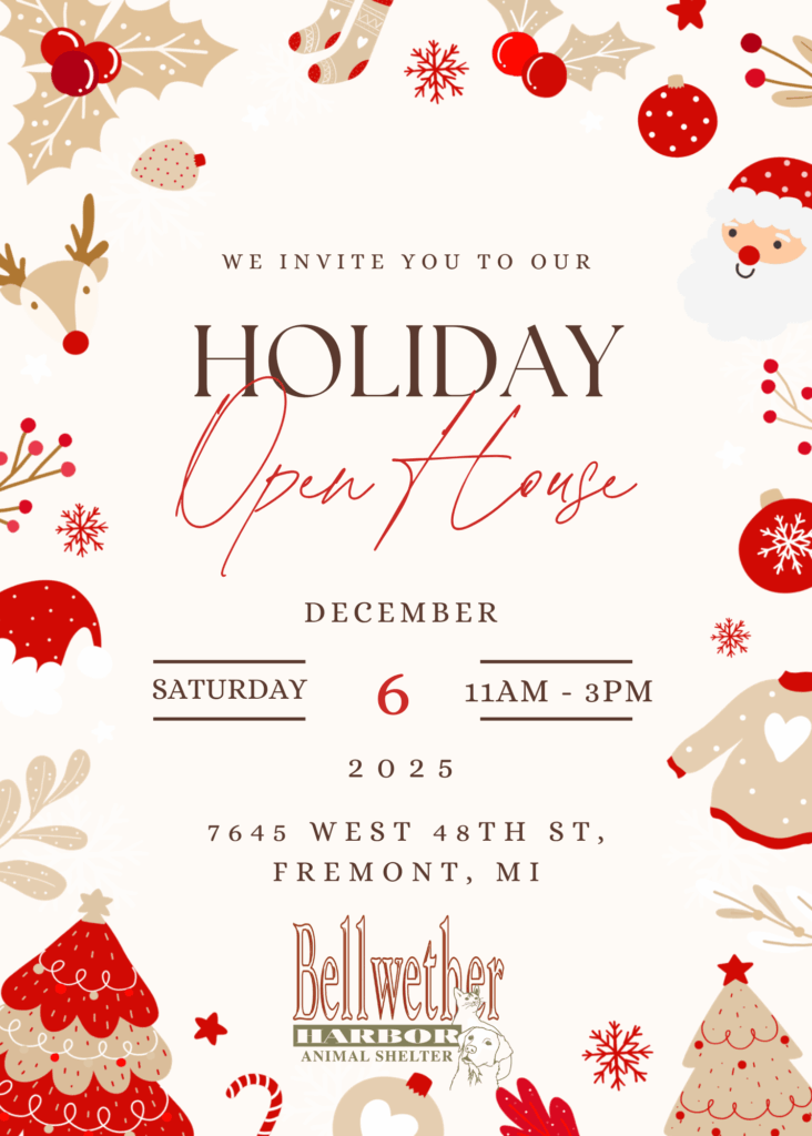 Holiday Open House
