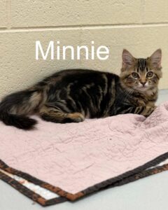 Minnie