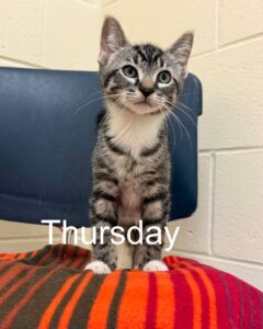 Thursday