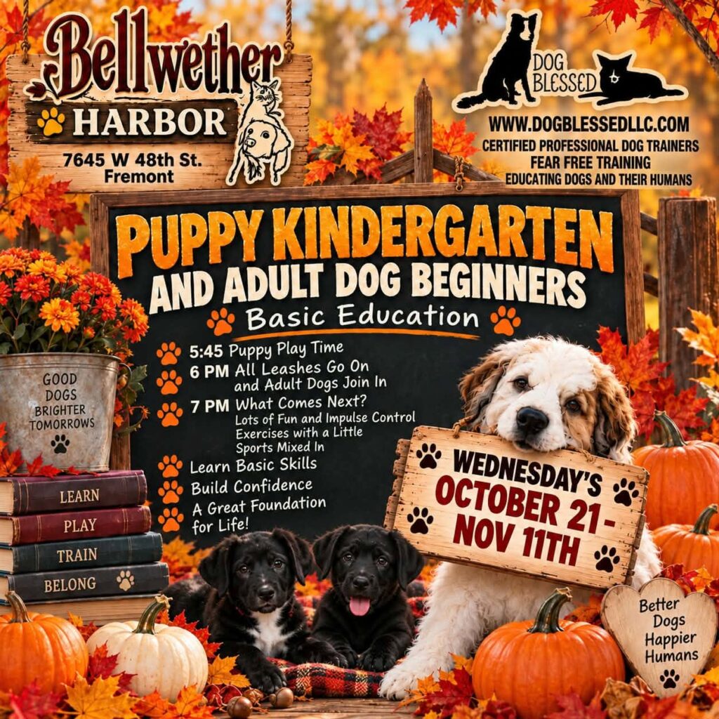 October and November Class