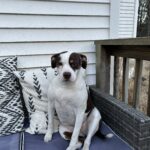 Kimber