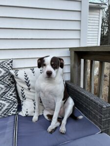 Kimber