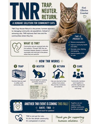 TNR